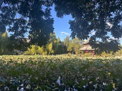 -莲池书院博物馆