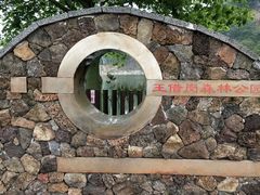 -王借岗森林公园