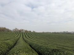 -敬亭山风景名胜区