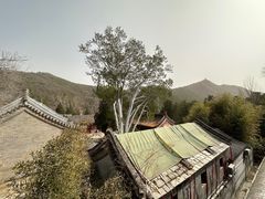 -潭柘寺景区