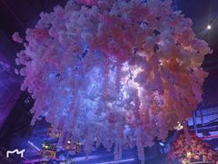 -梦田音乐miniLIVE(漳州店)