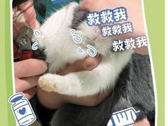 -雨林宠物医院 非犬猫异宠专科