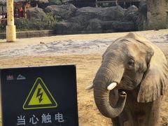 -杭州野生动物世界