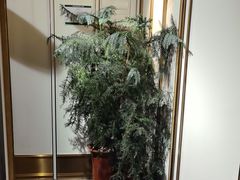 -新安人家·22年本地餐厅