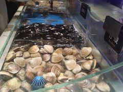 -加餐海鲜自助(宝龙一城店)