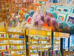 -猫的天空之城概念书店(杭州南宋御街店)