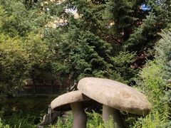 -汤旺河林海奇石景区