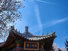 -桃花堤公园