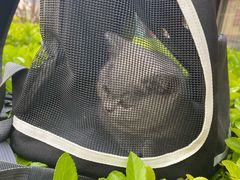 -瑞派福兴宠物医院犬猫全科·骨科·中西医结合(河东店)