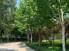 -郑东新区龙湖公共艺术中心
