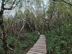 -白草畔自然风景区