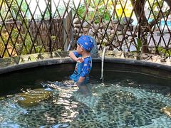 -丰泰花园酒店热矿泉