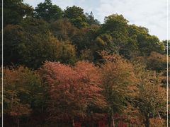 -南丹山森林王国