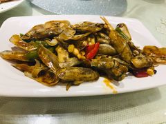 炒圣子-新享乐海鲜(翠华路店)
