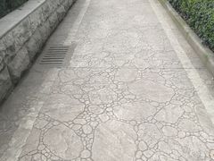 -喷泉公园