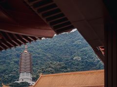 -深圳仙湖植物园