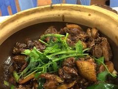 正宗清远大棚鹅-广宁炭炉鸡煲·富临门饭店