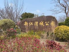 -新江湾城公园