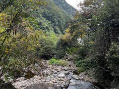 -东天目山风景区