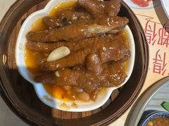 -点都德·毕德寮