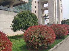 -南京医科大学(江宁校区)