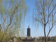 -西海子公园