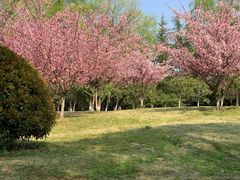 -钟山体育运动公园