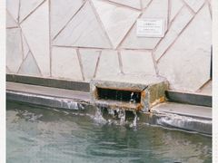 -仁爱团泊湖温泉中心