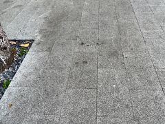 -广东温泉宾馆