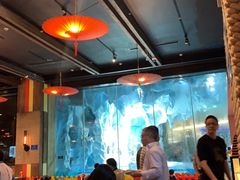 大堂-帝企鹅自助餐厅•儿童岛•真企鹅(长隆企鹅酒店)