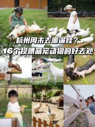 -酷嗒动物文化乐园(cutezoo西溪乐天城店)