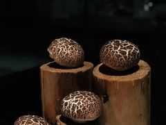 -魔厨私房菜(观音桥店)