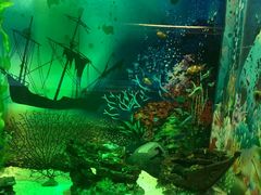 -梦幻海洋王国(吾悦广场张家港店)