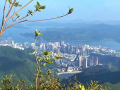 -梧桐山风景名胜区