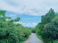 -北京西山国家森林公园