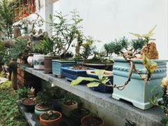 -茶米人台湾料理·精致快简餐
