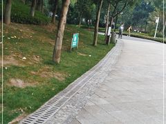 -沐仙湖湿地公园