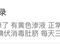 -天鹅到家·保姆月嫂育儿嫂(朝阳店)
