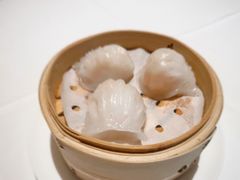 公馆虾饺皇-炳胜公馆(珠江新城店)