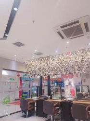 -京世沙龙