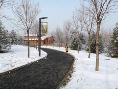 -东郊湿地公园