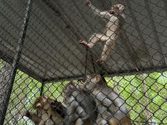 -长白岛森林公园