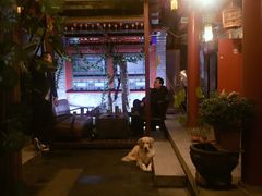 -百好乐宠物友好餐厅(朝外大街店)