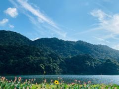 -广州市石门国家森林公园