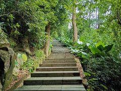 -火炉山森林公园