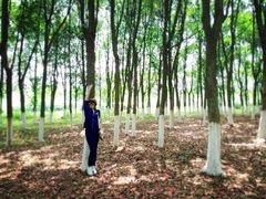 -艾溪湖湿地公园