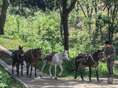 -青龙山国家森林公园