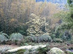 -四洞沟景区
