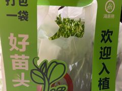 -海底捞火锅(国奥村店)