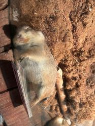 -Zoolung Zoolung动物主题公园(海信广场店)